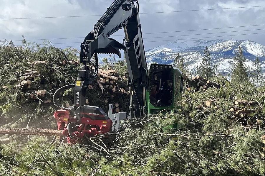 Medienos ruoša ir kirtimo darbai